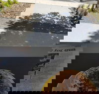 Queen of Tarts Toronto  Cessnock - Maitland Accommodation