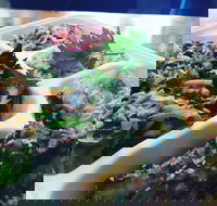 Steam  Cedar - Maitland Accommodation