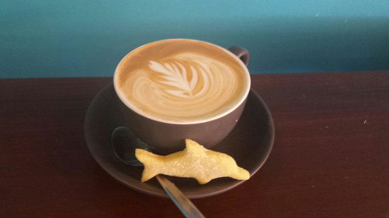 Coffs Harbour NSW Maitland Accommodation