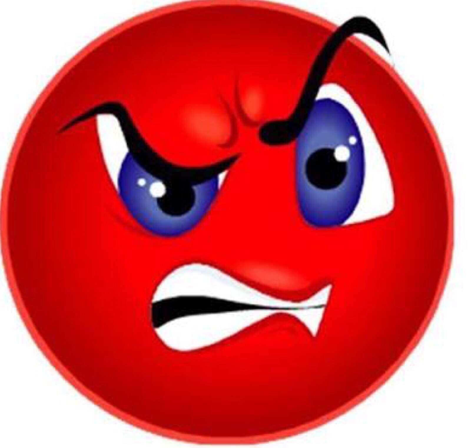  Maitland Accommodation