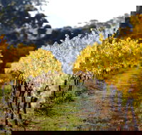 Prickly Moses Brewery