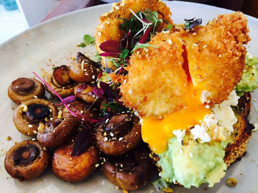  Maitland Accommodation