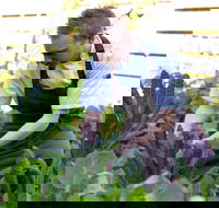 Chiswick Restaurant Woollahra - Maitland Accommodation