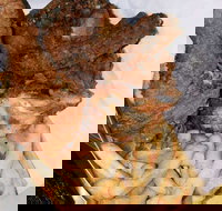 Chicken king - Maitland Accommodation