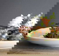 Daark Espresso Bar - Maitland Accommodation