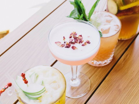 Opera Bar - Maitland Accommodation 1