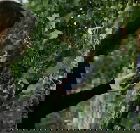 Rowlee Vine To Table Experience