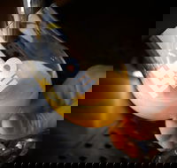 Hope Estate Brewery - Maitland Accommodation