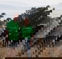 Milawa Organic Beef - Maitland Accommodation