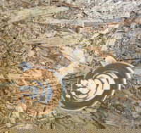 Salt. Coffee Roasters - Maitland Accommodation