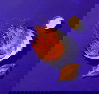 House Bar - Maitland Accommodation