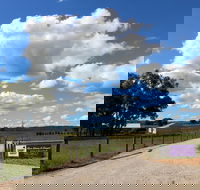 Short Sheep Micro-Winery