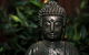 Szeto Asian Kitchen - thumb 0