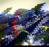 The Galley - Maitland Accommodation