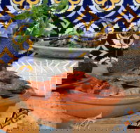 Encasa - Haymarket - Maitland Accommodation