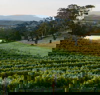 Granite Hills Winery - Maitland Accommodation