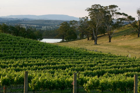 Granite Hills Winery - Maitland Accommodation 0