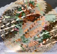 Grills On Wills Road - Maitland Accommodation