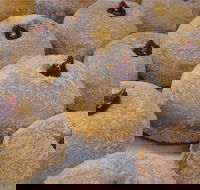 Miami Bakehouse Mandurah - Maitland Accommodation