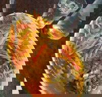 Mix and match - Maitland Accommodation