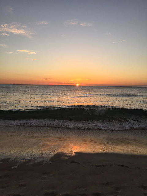 Ocean Spice Cafe - Maitland Accommodation 1