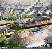 Restaurant Eighty Eight - Maitland Accommodation