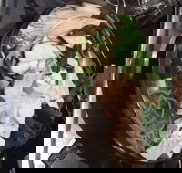 Seoul Buffet Korean BBQ  Steamboat - Victoria Park - Maitland Accommodation