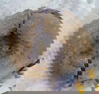 Romolo - Haymarket - Maitland Accommodation