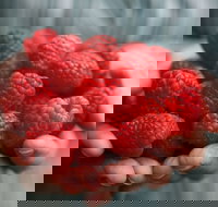 Christmas Hills Raspberry Farm Cafe - Maitland Accommodation