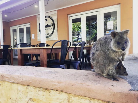 Frankie's On Rotto - Maitland Accommodation 1