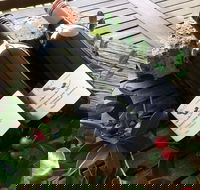 Hill of Promise Winery and Cellar Door