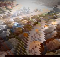 Pompadours Chocolate House - Maitland Accommodation