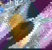 Sharks Tail Fish  Chippery - Maitland Accommodation