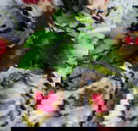 Bella Char Restaurant  Wine Bar - Maitland Accommodation