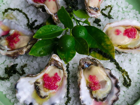 Bella Char Restaurant + Wine Bar - Maitland Accommodation 0