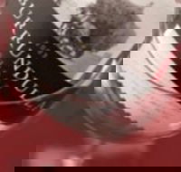 Burrundulla Vineyards