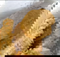 Captain Roxburg Fish  Chips - Maitland Accommodation