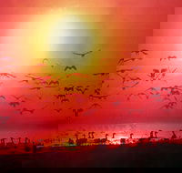 Cool Spot Cafe - Fannie Bay - Maitland Accommodation