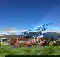 Red Feet Wines - Maitland Accommodation