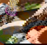 Satay on Charcoal - Maitland Accommodation