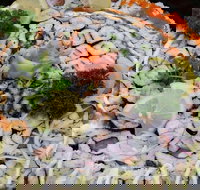 I Sushi - Eaton - Maitland Accommodation