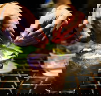 Paulie's Corner - Maitland Accommodation