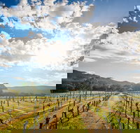 Fallen Giants Vineyard - Maitland Accommodation