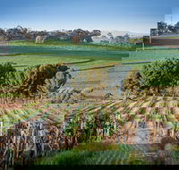 Heritage Wines - Maitland Accommodation