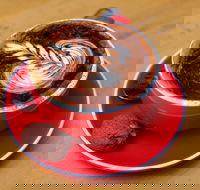 Superbowl Chinese Restaurant - Maitland Accommodation