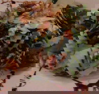 Angies Italian Kitchen - Maitland Accommodation