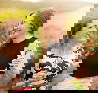 De Bortoli Wines Pokolbin - Maitland Accommodation