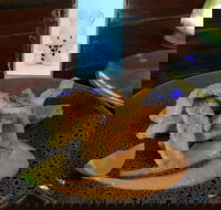 Cocina Mexican Grill and Cantina - Maitland Accommodation