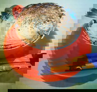 Sunshine Social - Maitland Accommodation