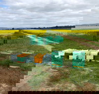 The Basin Backyard - Maitland Accommodation